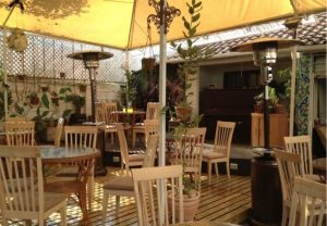 “Llegó la primavera a la terraza de Café Botánico”