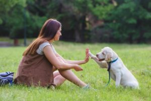 Pasear al perro Es Chic