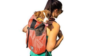 Bolsos para perros beneficios y desventajas