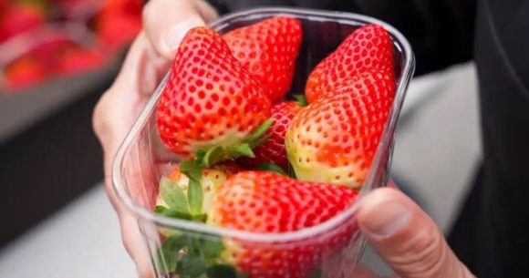 Mira cómo reacciona tu organismo cuando comes fresas todos los días